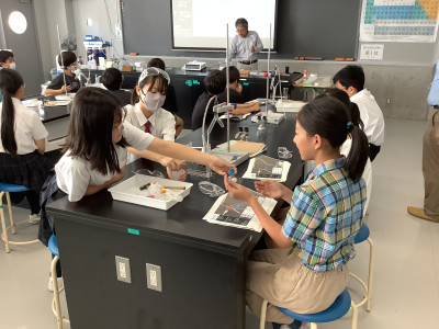 20250730_005156818_iOS