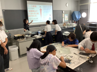 20250730_014538740_iOS